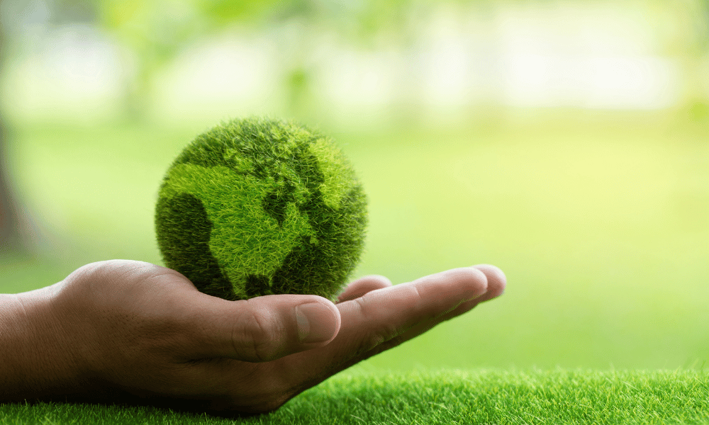 Nuova General Plast 11 Nuova General Plast: sostenibile per scelta